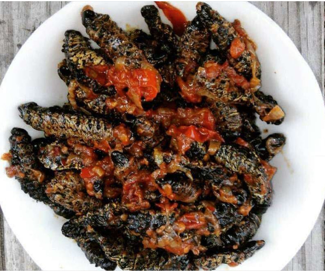 Madora/ dried mopani worms/ mancimbi