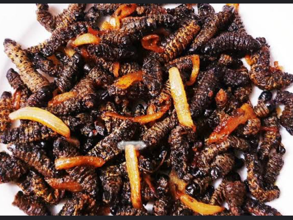 Madora/ dried mopani worms/ mancimbi
